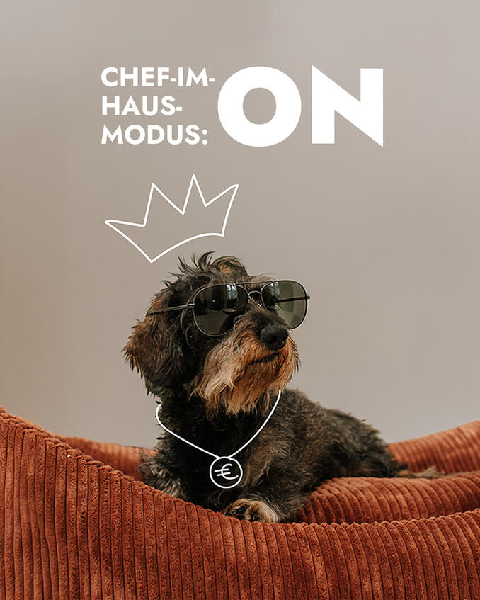 FIBE Hundebetten