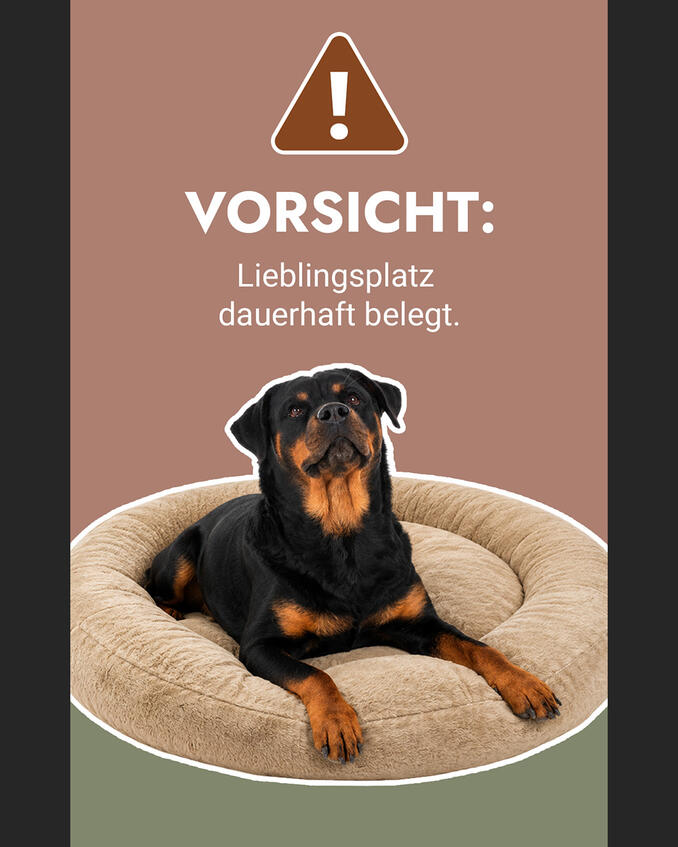 FIBE Hundebetten
